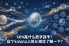 SKN是什么数字货币？这个Solana上的AI项目了解一下