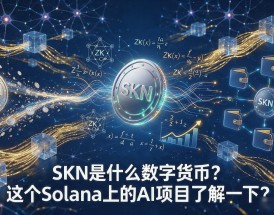 SKN是什么数字货币？这个Solana上的AI项目了解一下
