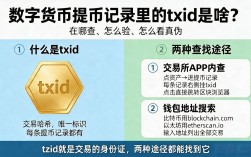 数字货币提币记录里的txid是啥？在哪查、怎么验、怎么看真伪