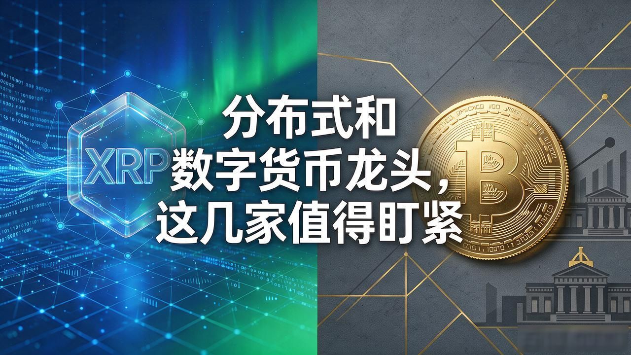 数字货币监管_分布式数据库_分布式和数字货币龙头